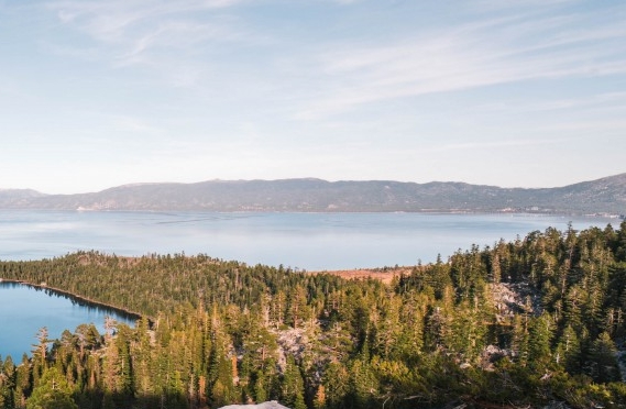 粉象生活能赚到钱吗