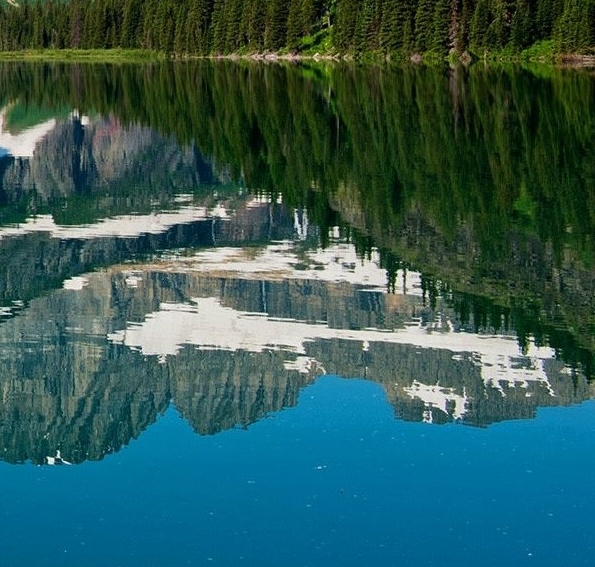 粉象生活下载app