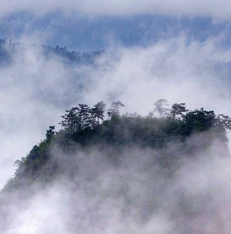 泉州粉象生活代理