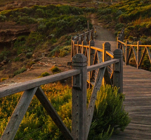 粉象生活怎么赚钱的