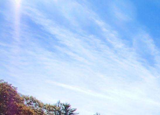 湖南创新粉象生活怎么赚钱