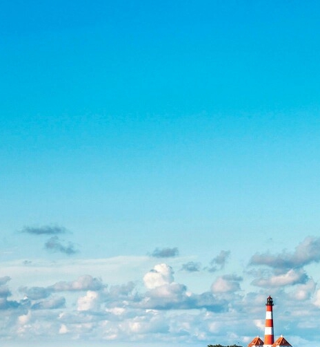 粉象生活规则有哪些