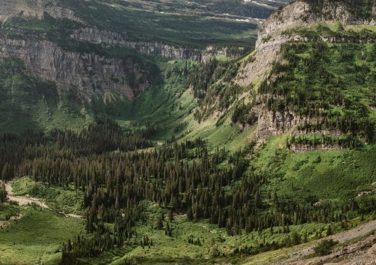 app粉象生活邀请码