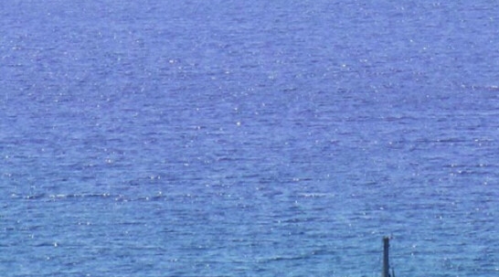 粉象生活app对比