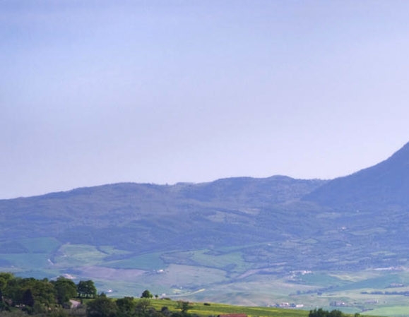 粉象生活是什么?