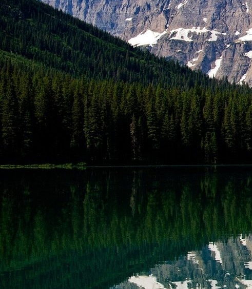 粉象生活粉丝积分是钱吗