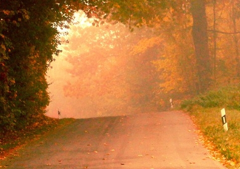 粉象生活是不是可以省钱