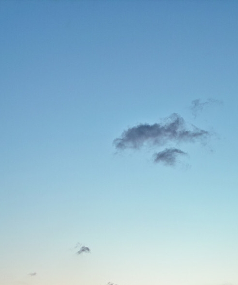 粉象生活新手怎么做