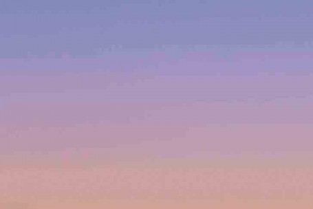 粉象生活教科书