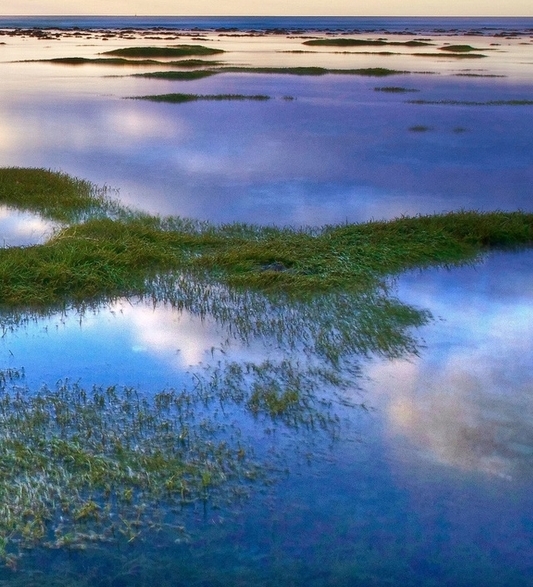 粉象生活怎么省钱