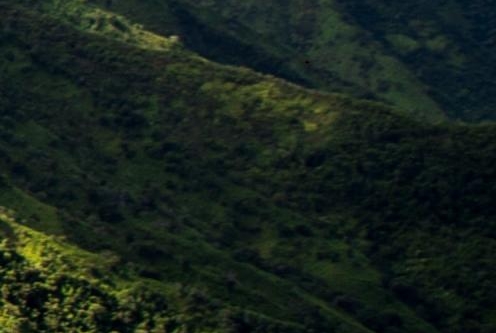 淘宝领粉象生活