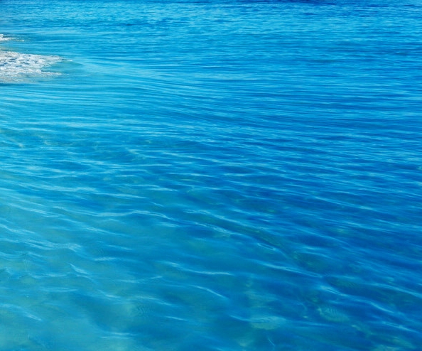 粉象生活邀请一个人有多少佣金