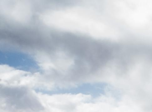 粉象赚钱是真的吗