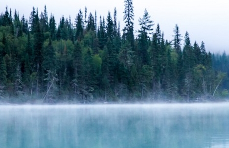 粉象生活能赚到钱吗