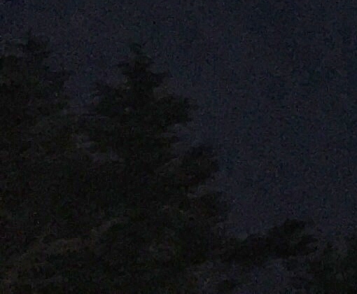 粉象生活是骗人的吗