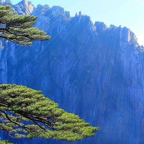 粉象生活怎么赚钱