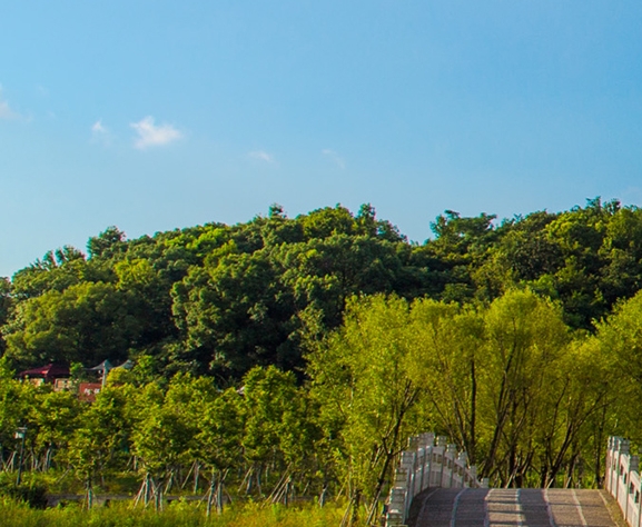 粉象生活下载app