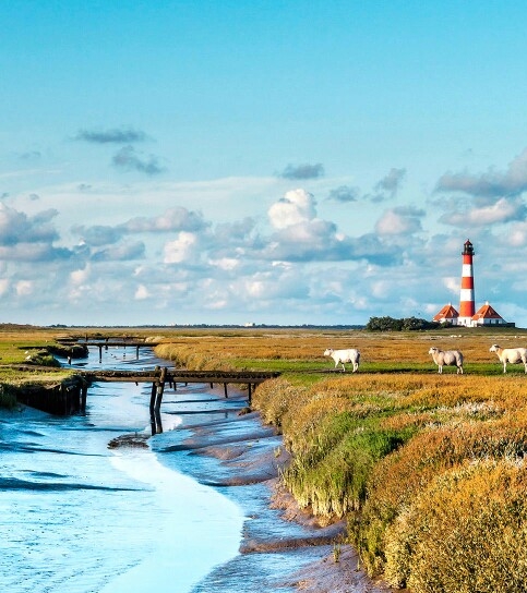 湖北粉象生活推广