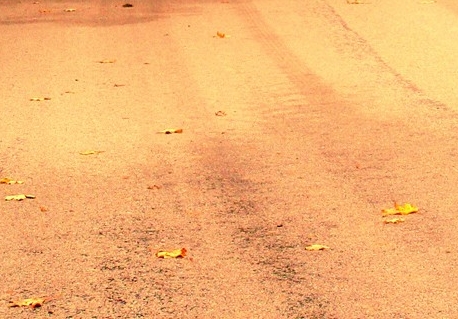 粉象生活怎么添加微信