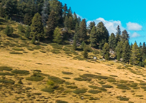 粉象生活微信背景图片