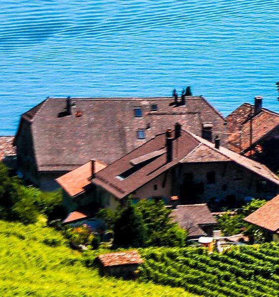 粉象生活如何看店铺的位置