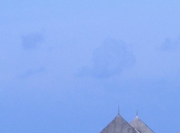 粉象生活专属粉丝可以增加收入嘛