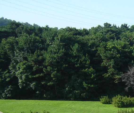 粉象生活免费用