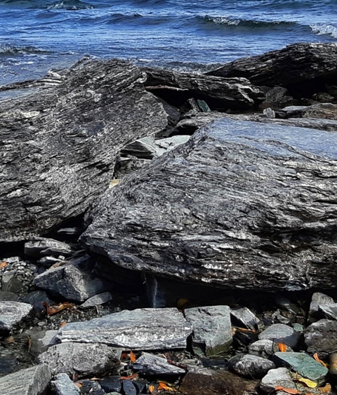 粉象生活实名认证安全吗