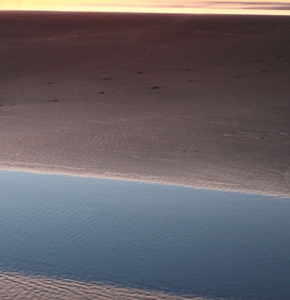 最新版粉象生活app下载安装