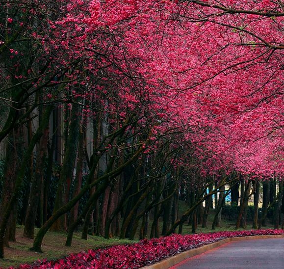 粉象生活怎么看自己的用户