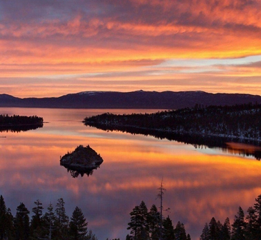 粉象生活是干嘛的