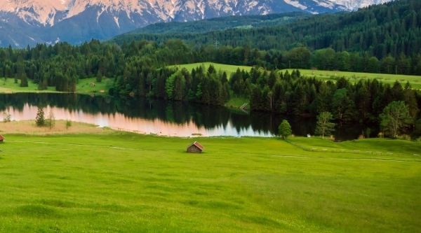 粉象生活合法吗