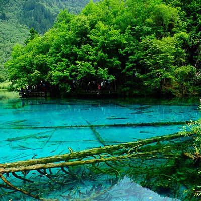 粉象生活邀请码