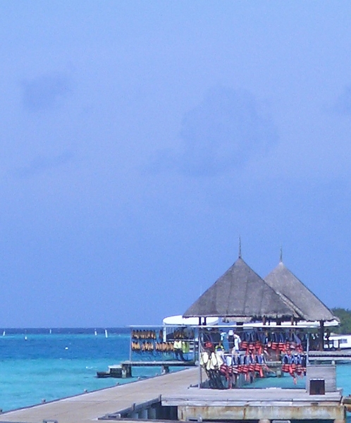 粉象生活粉丝怎么增加