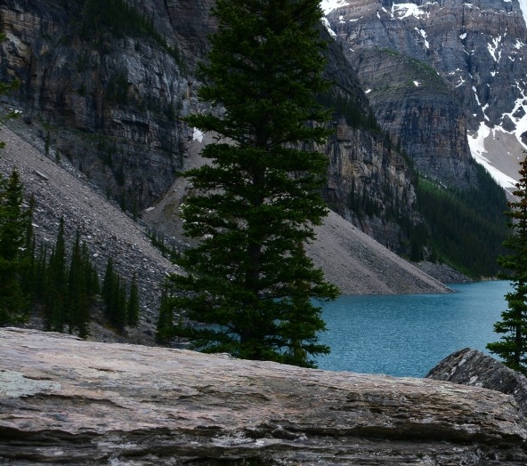 粉象生活客户端