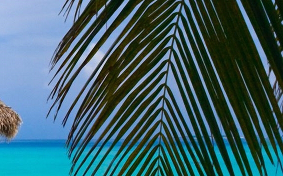 粉象生活怎么快速推广