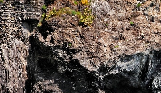 粉象生活粉丝怎么增加