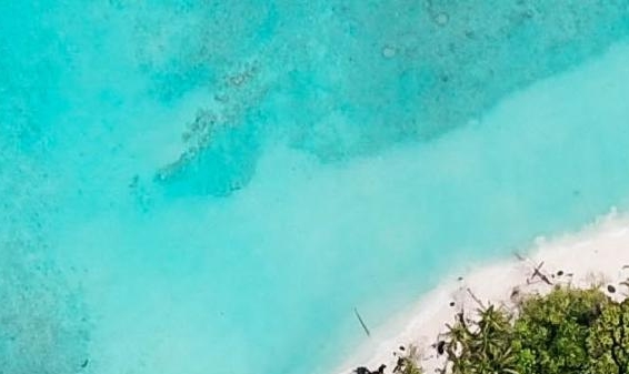 粉象生活谁做得好