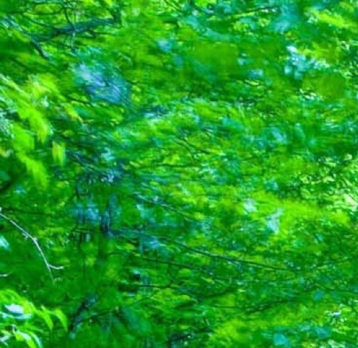 粉象生活是干嘛的