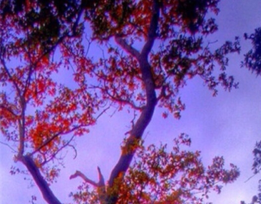 粉象生活怎么解绑淘宝账号