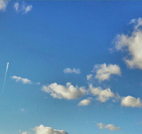 粉象生活邀请码