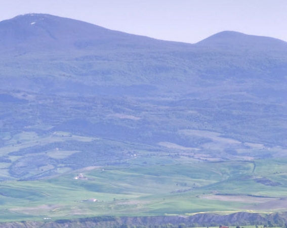 粉象生活是个什么东西