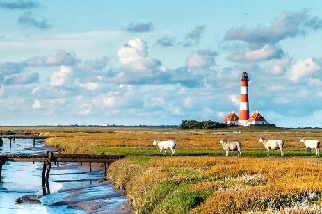 微信清粉安全可靠吗?