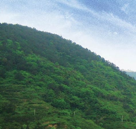 学生党粉象生活