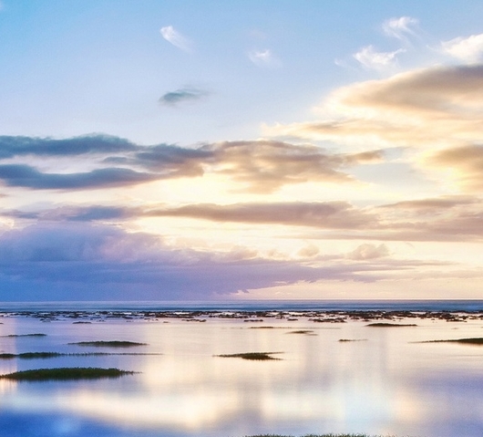 粉象生活是干什么的?怎么赚钱