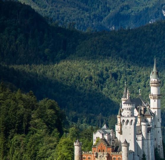 嘉兴app粉象生活邀请码