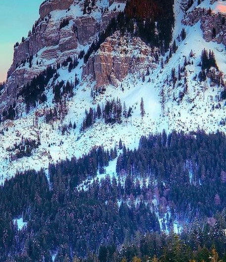 粉象生活创始人李红星简介