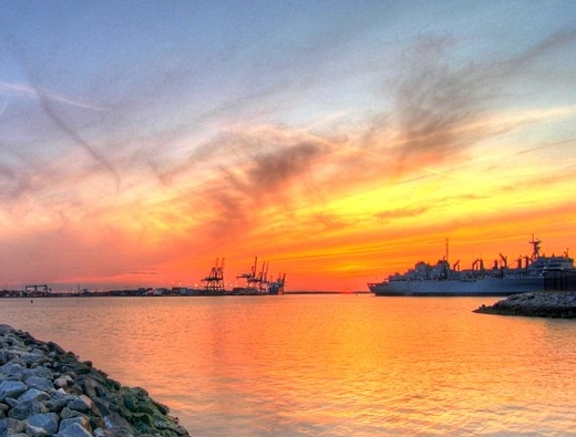 粉象生活下载app