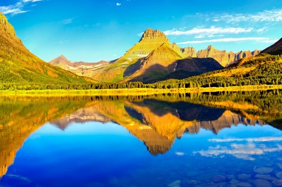 粉象生活邀请码