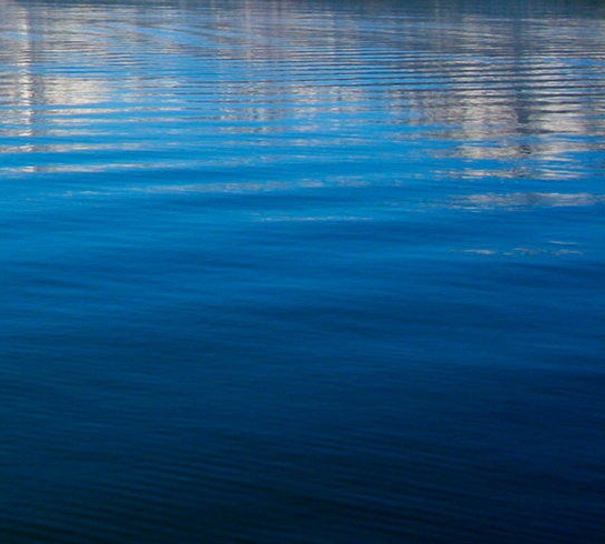 粉象生活更新了吗